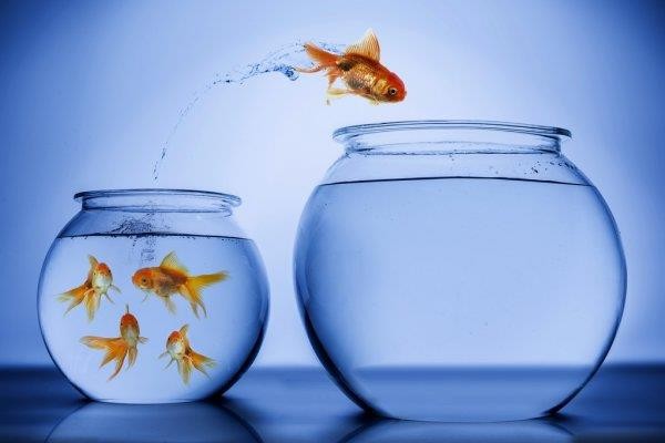COMO ADAPTARSE A LOS CAMBIOS -Taller Virtual Zoom directo