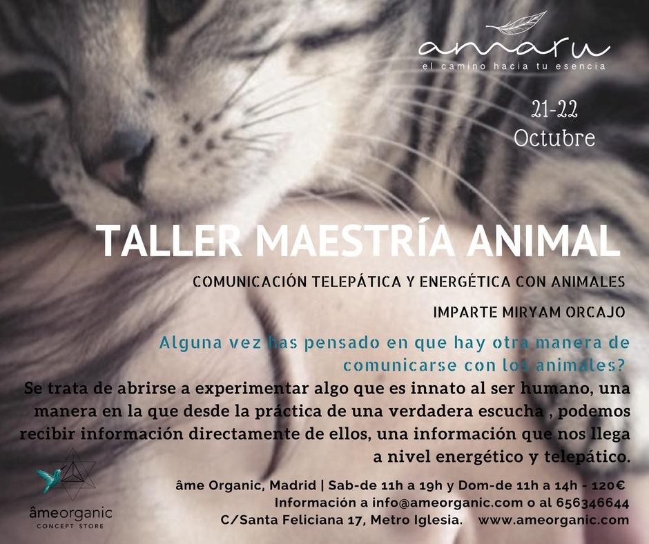 Maestría Animal.Comunicación telepática y energética con animales.