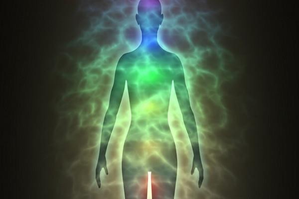 REIKI NIVEL 1 5h 60€