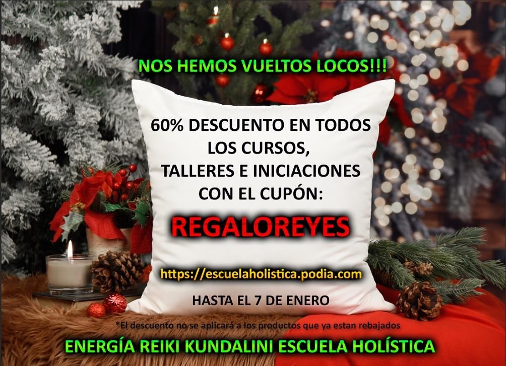 60% DESCUENTO EN TODA LA ESCUELA. SOLO HASTA EL 7 DE ENERO