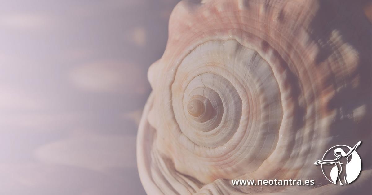 El Ser Multiorgásmico | Formación Neo Tantra