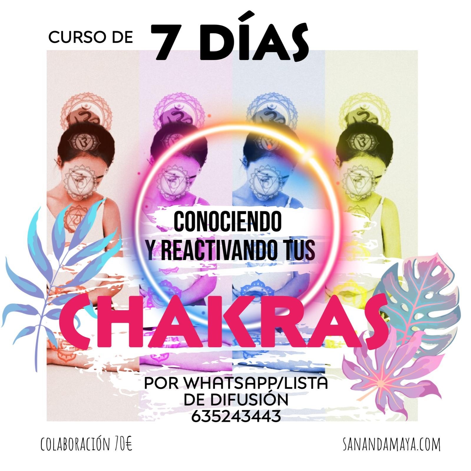 CONOCIENDO Y REACTIVANDO TUS CHACRAS