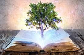 Curso Registro Akashicos con Gaia, comunicación animal y naturaleza