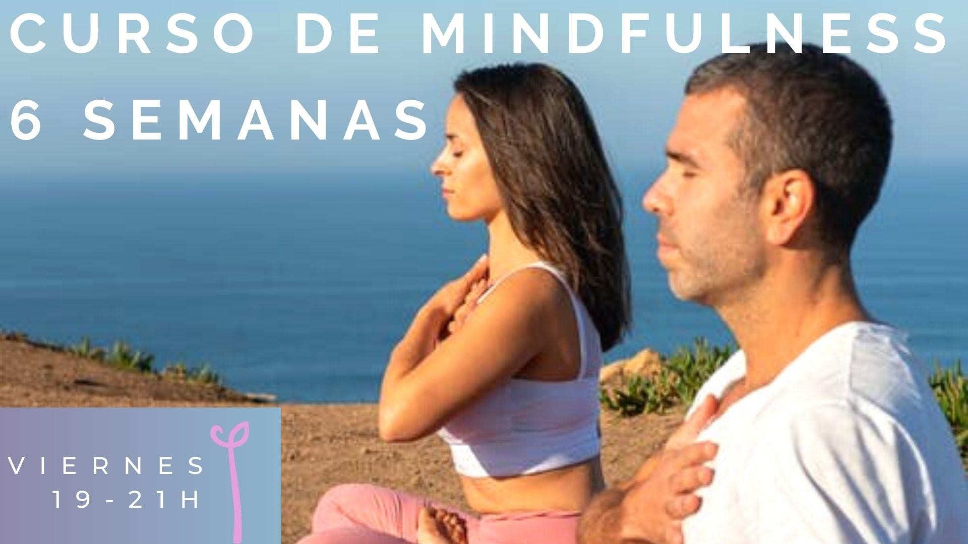 Mindfulness 6 semanas