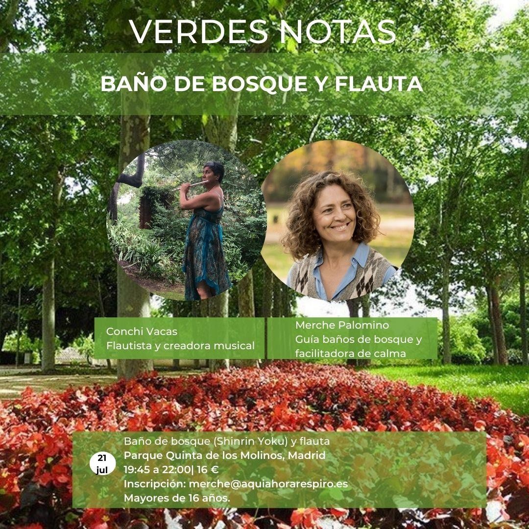 Verdes notas ¿cómo suena tu caminar en la naturaleza?