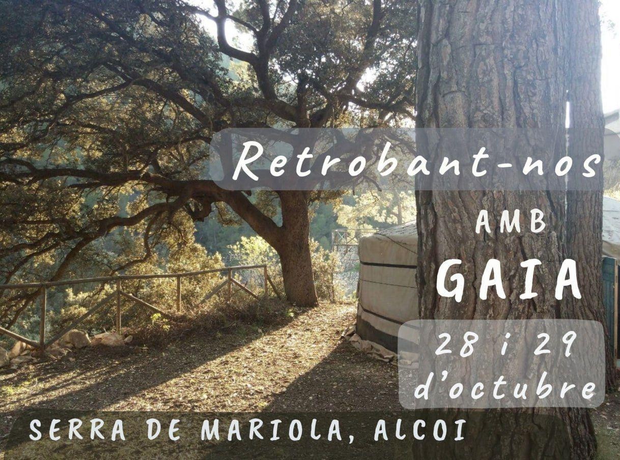 Reencontrándonos con Gaia