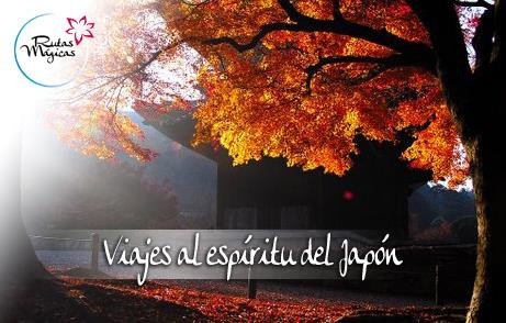 VIAJE REIKI AL JAPON SAGRADO
