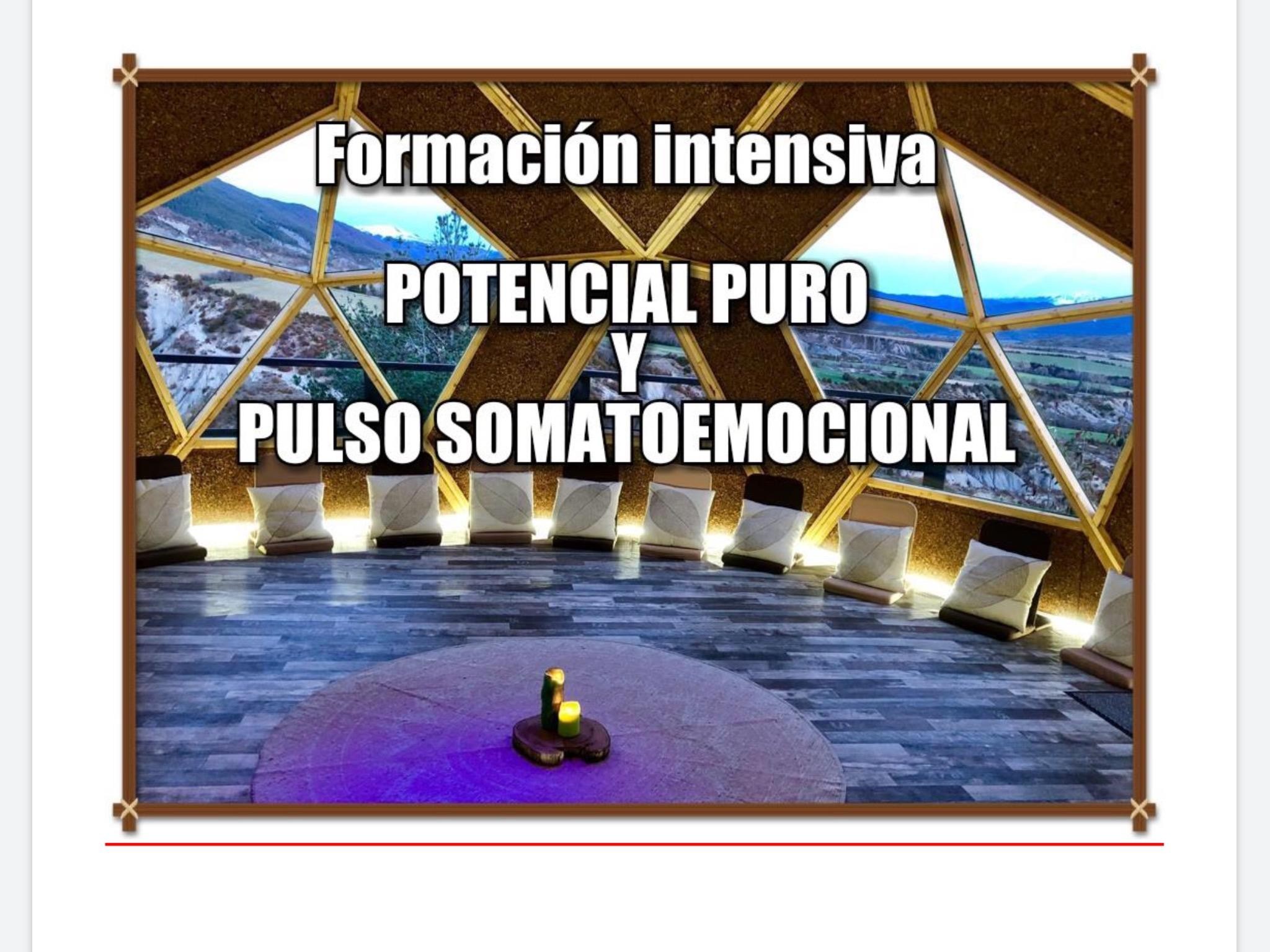 FORMACIÓN INTENSIVA, LIBERACION SOMATO-EMOCIONAL Y POTENCIAL PURO