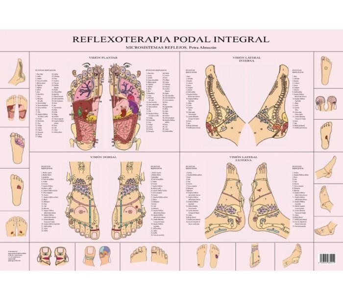 REFLEXOLOGIA PODAL