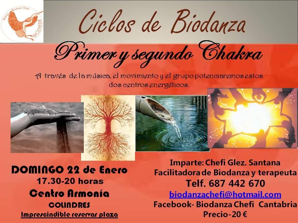 Ciclo de Biodanza & Chakras
