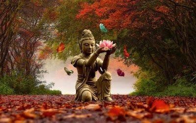 ¿MEDITACIÓN ó MEDICACIÓN? - Consigue paz interior de forma natural.
