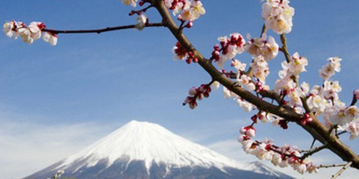 CURSO REIKI USUI NIVEL 2.