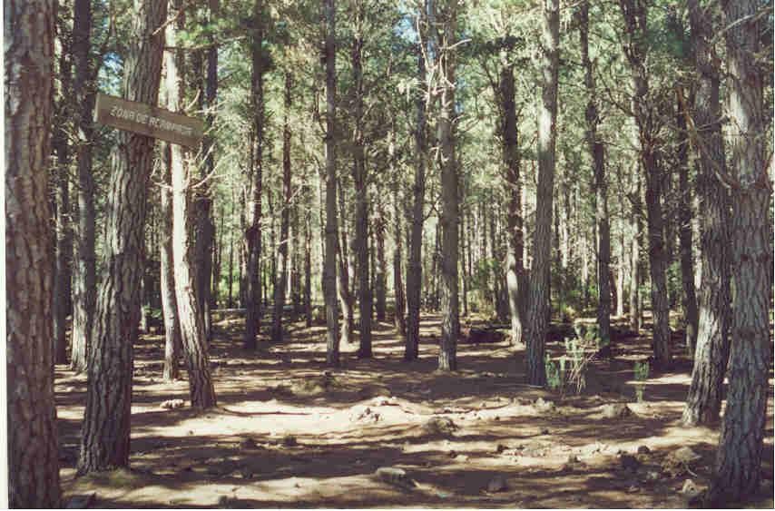 Curso intensivo de meditación combinado en la Naturaleza