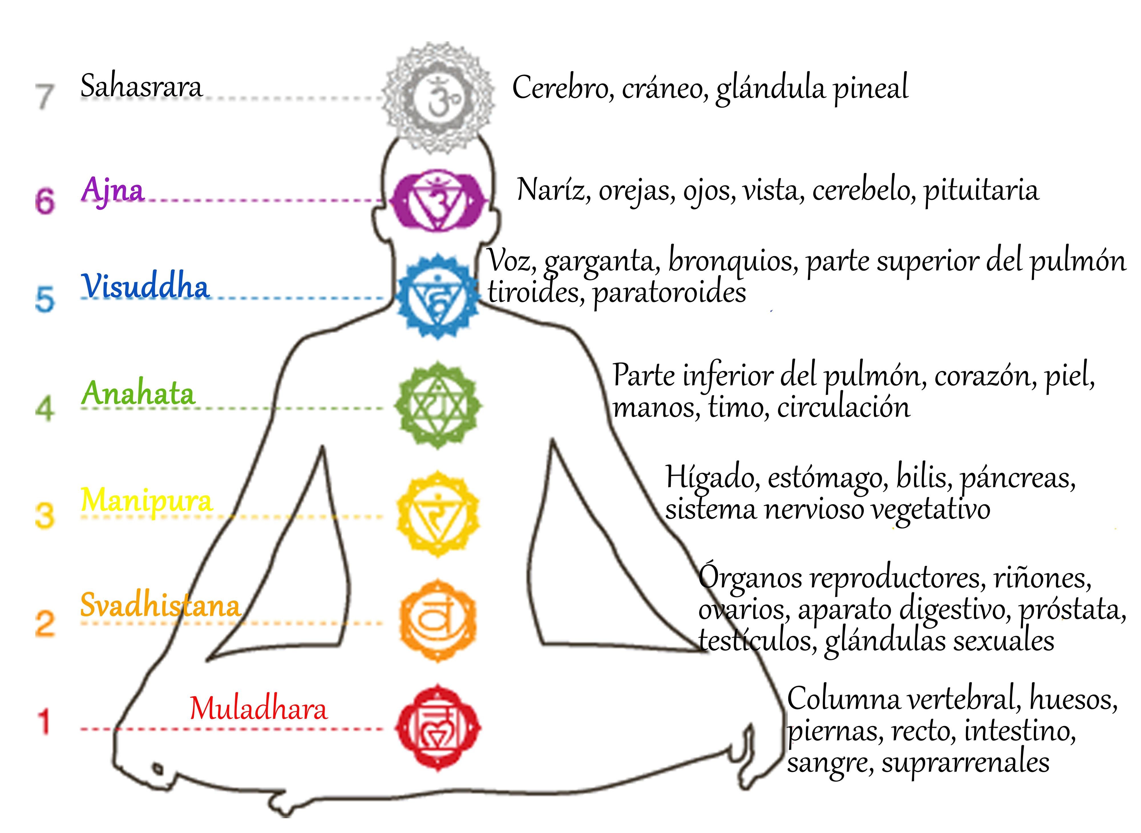 Curso teórico-práctico sobre armonizar y equilibrar los Chakras