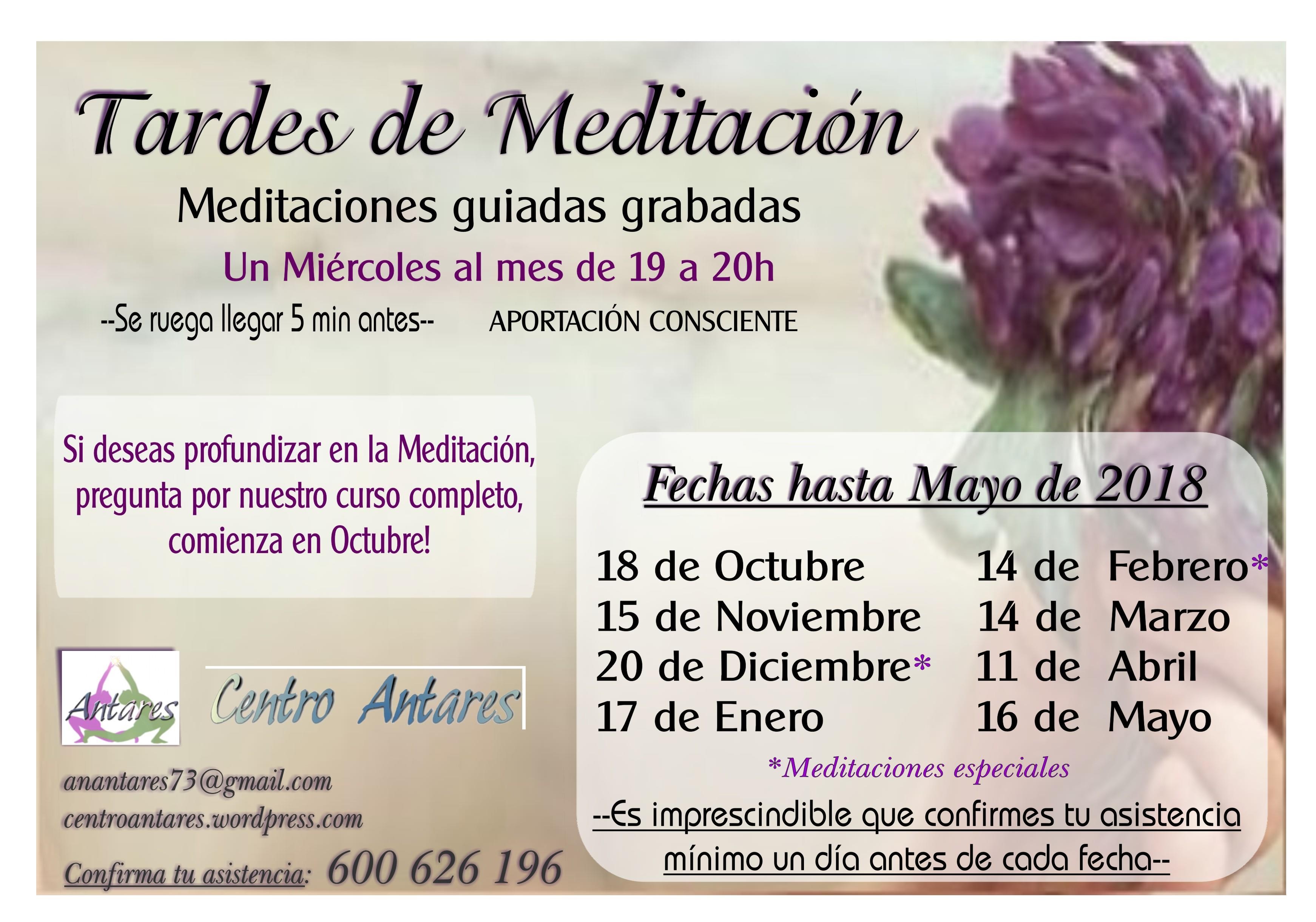TARDES DE MEDITACIÓN