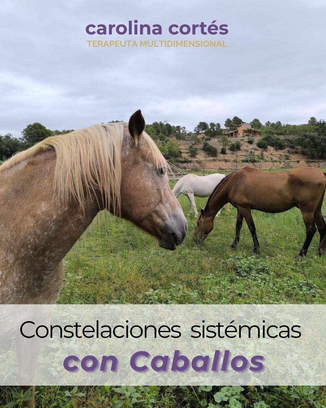 Constelaciones con CABALLOS