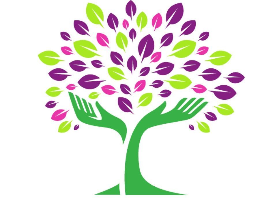 Terapia al Aire Libre