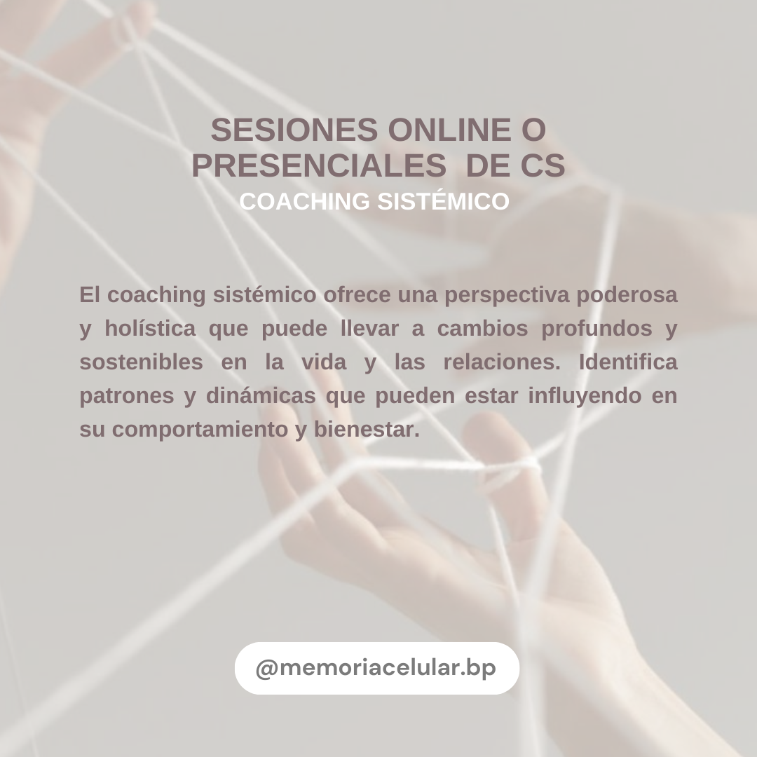 Sesiones Coaching Sistémico