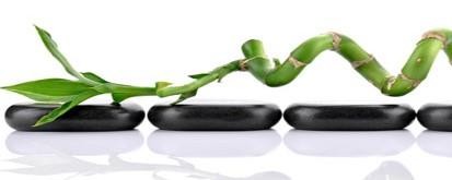 CURSO ONLINE: Introducción a la Medicina Tradicional China YIN YANG