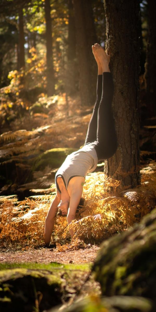 Clases Vinyasa y Yin Yoga