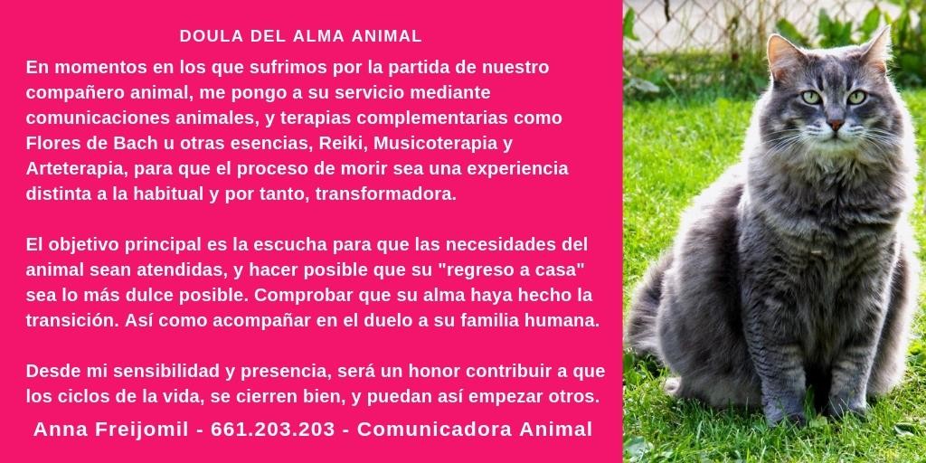 Conexión con el Alma de tu animal fallecido