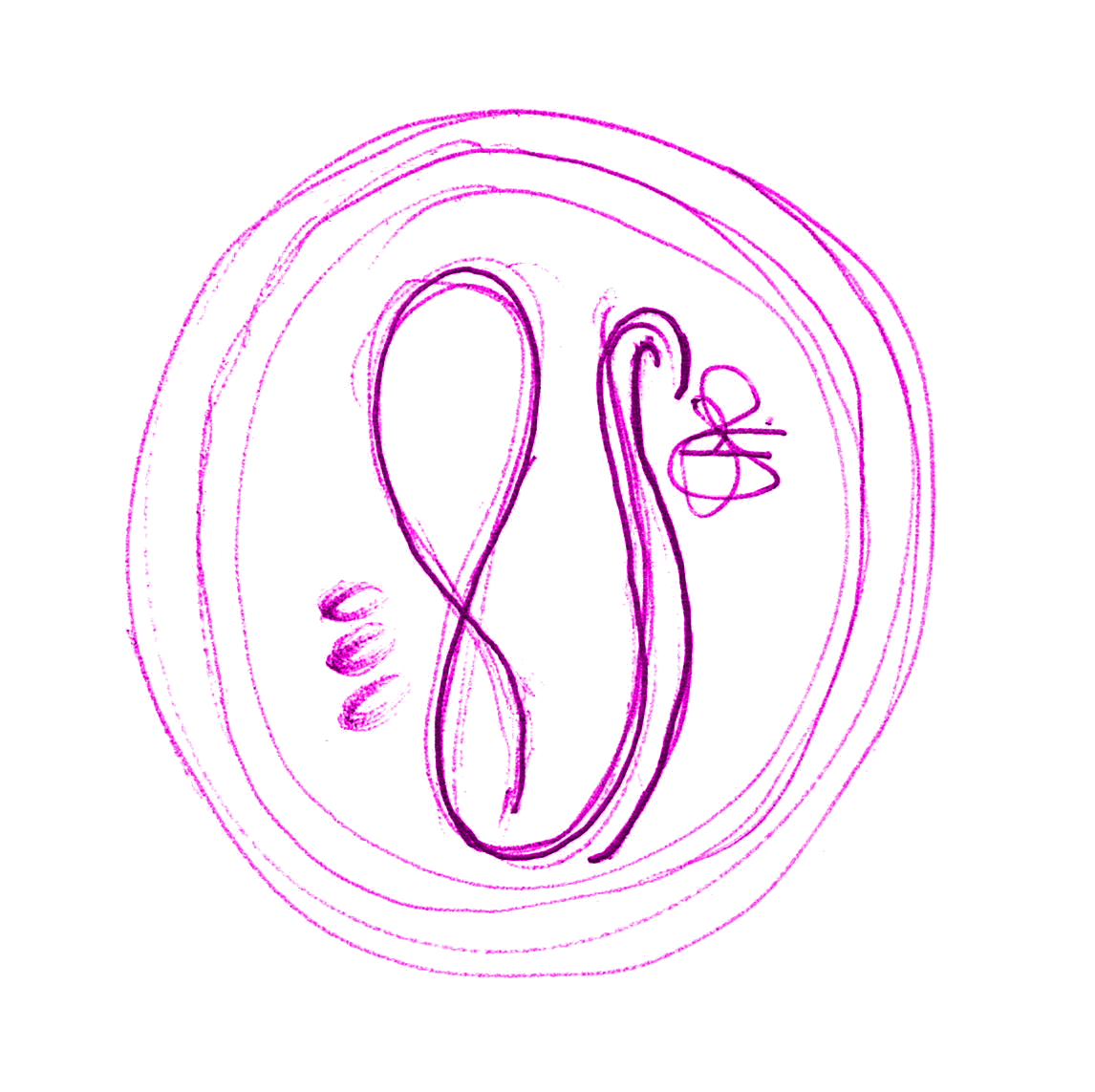 Terapias naturales y energéticas.