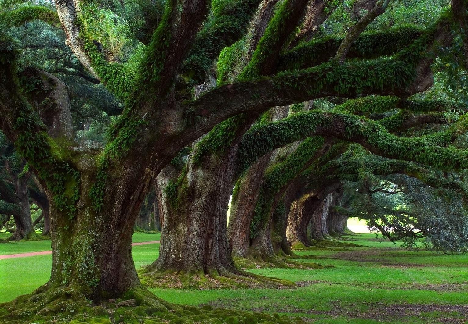 TERAPIA INTEGRACIÓN CONSCIENTE CORPORAL (viviendo la sacralidad de mi