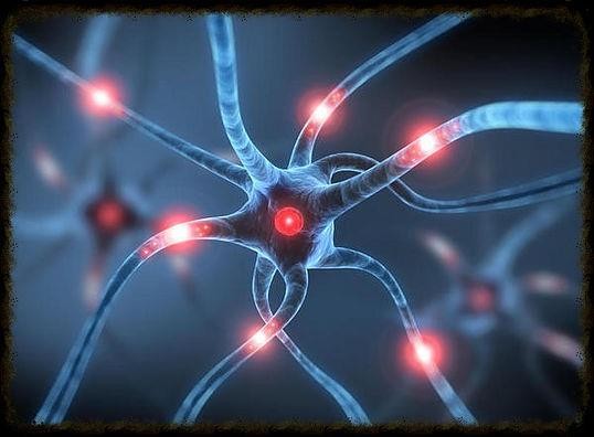 Biodescodificación (Biodécodage Práctica de Christian Flèche)