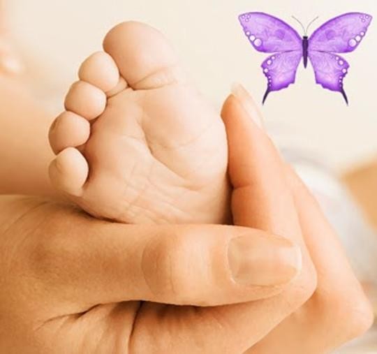 Técnica Metamórfica