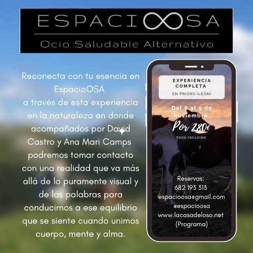 En busca de otra relación con los caballos