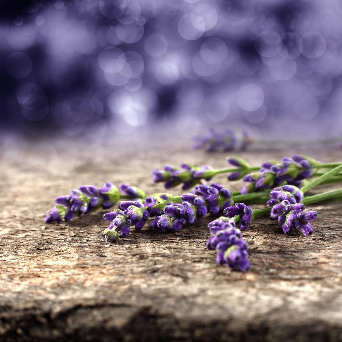 ONLINE: Gestión del dolor con Aromaterapia