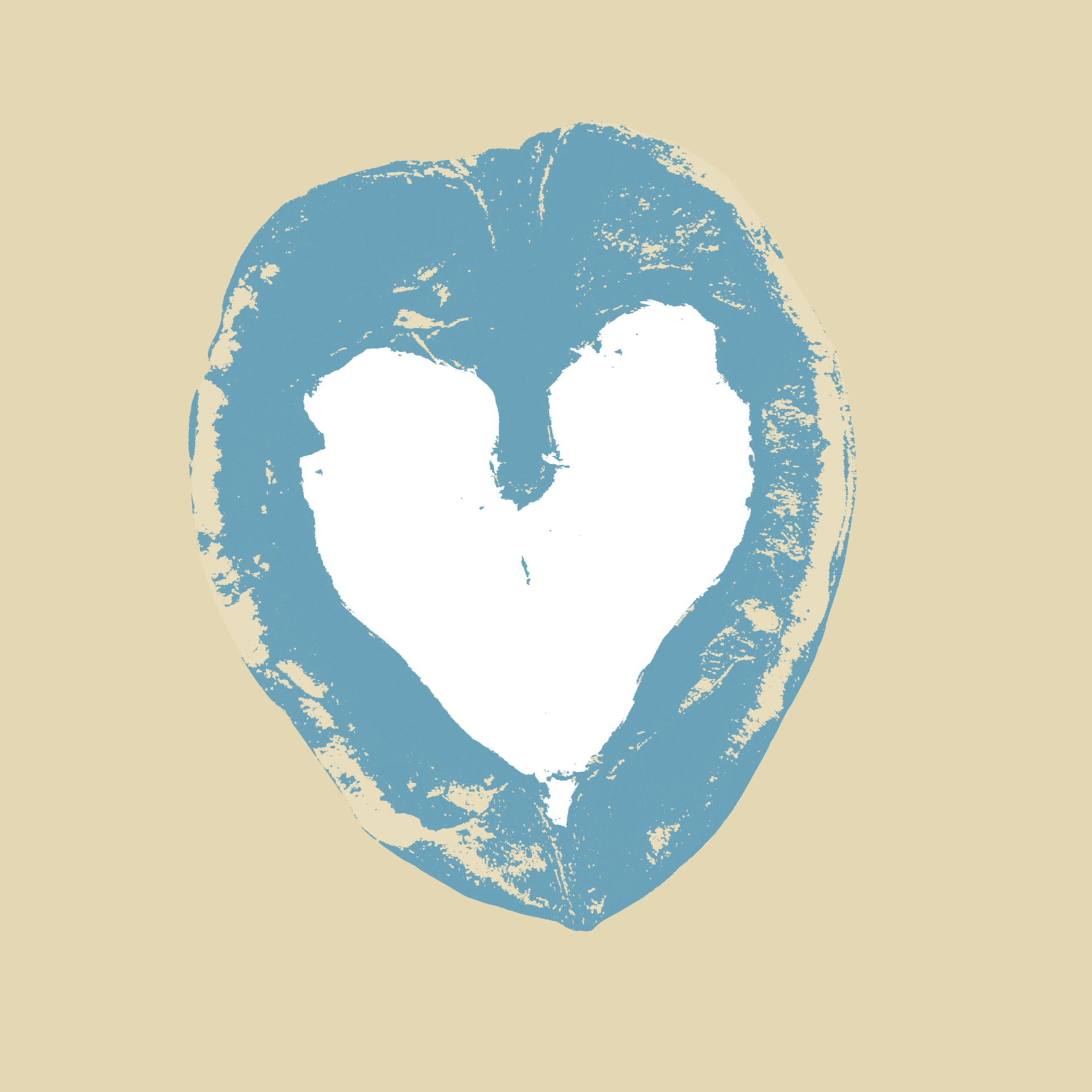 Sesiones Kinesiología Holística y Flores de Bach