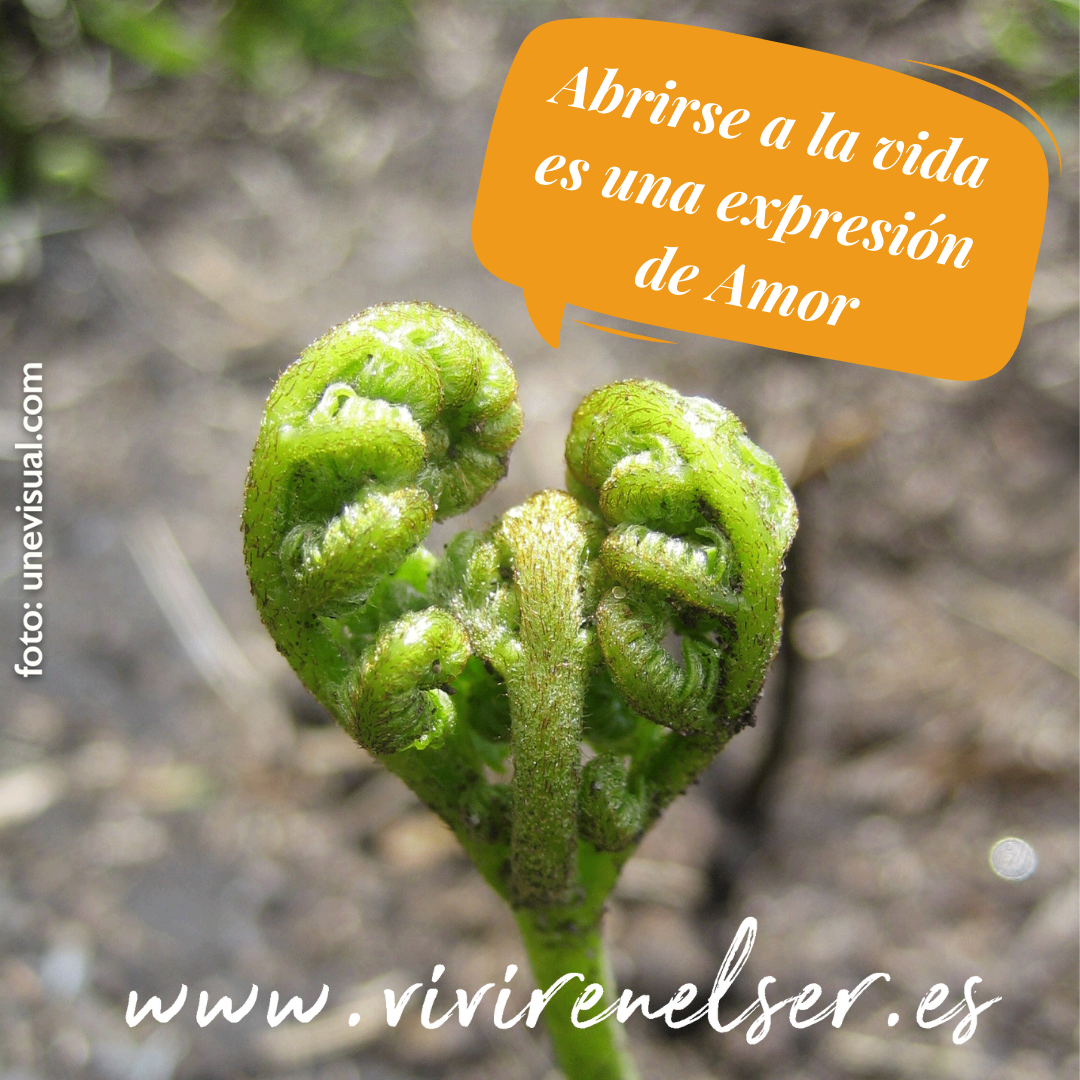 Comunicación Consciente - Ser a través de la Palabra